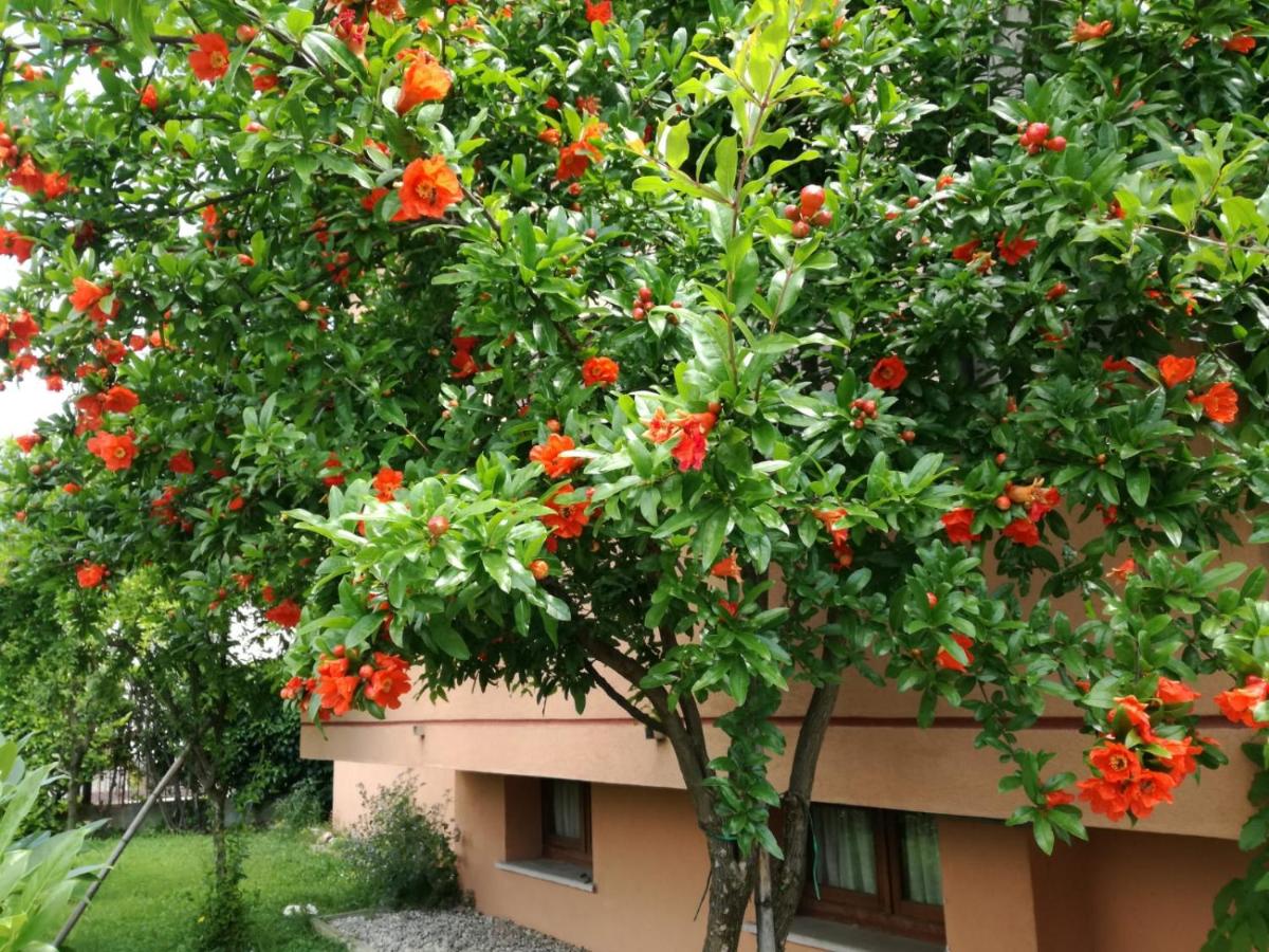 Casa Vacanze - SportHoliday House Segusino-Valdobbiadene - Chambres d'hôtes Segusino