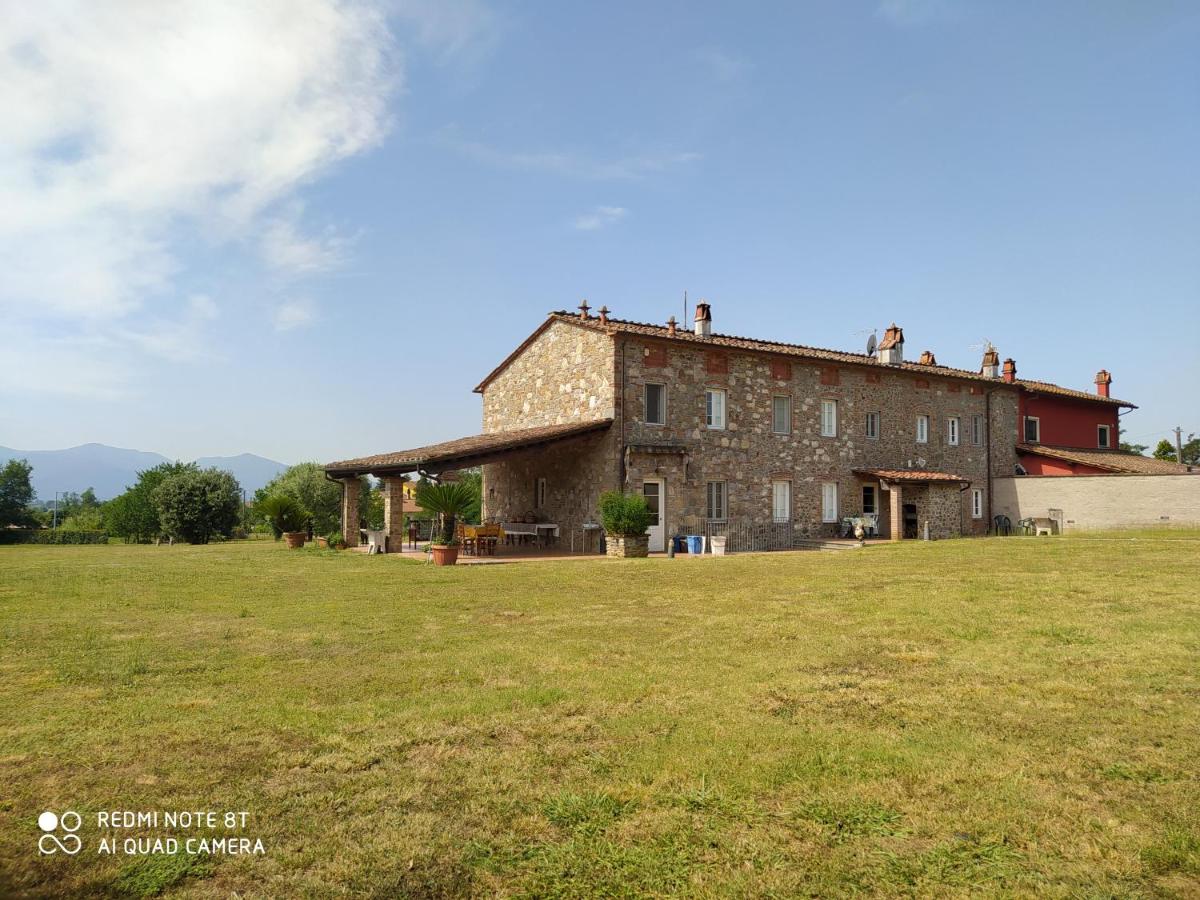 B&B Capannori - Ringo, the true Tuscany Country House - Bed and Breakfast Capannori