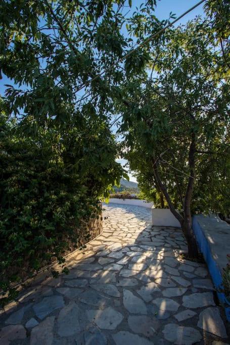 Secret Garden, a little paradise of tranquility. - B&B