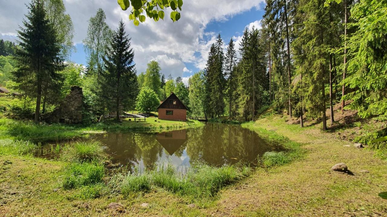 GRĪVIŅU pirts - B&B