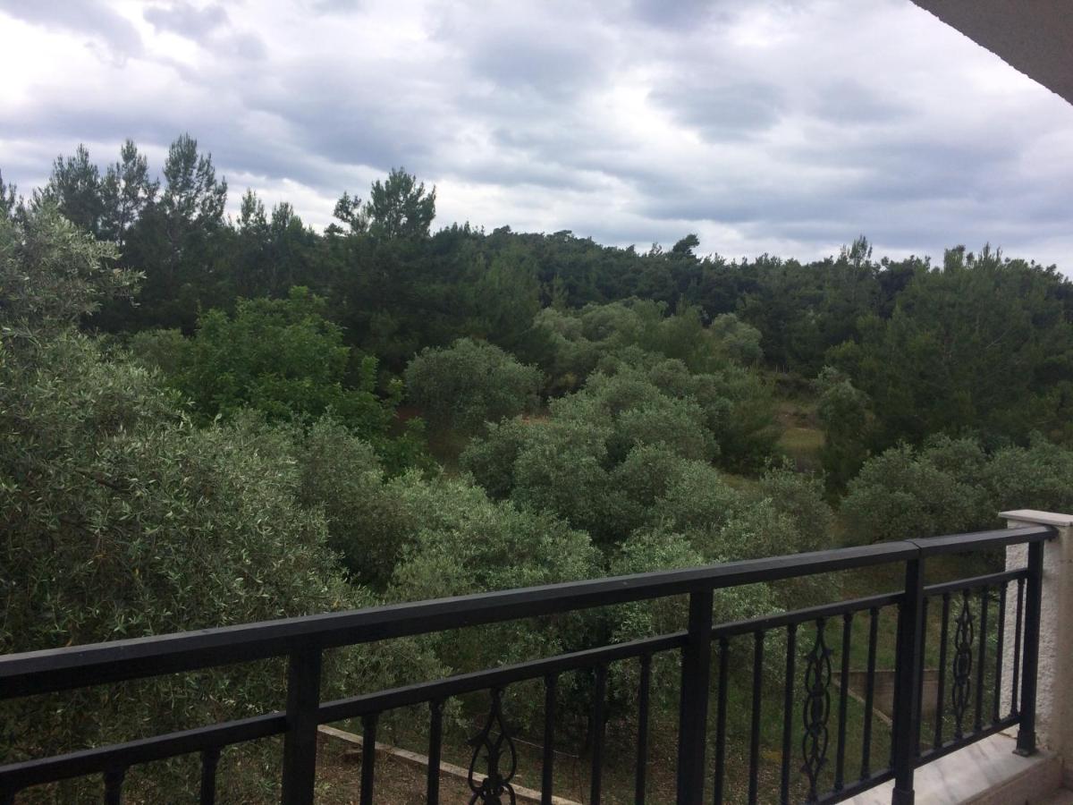 Sofia Villa - B&B