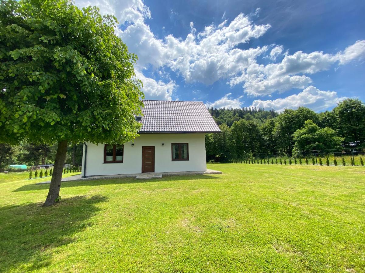 Apartament pod lipką - B&B