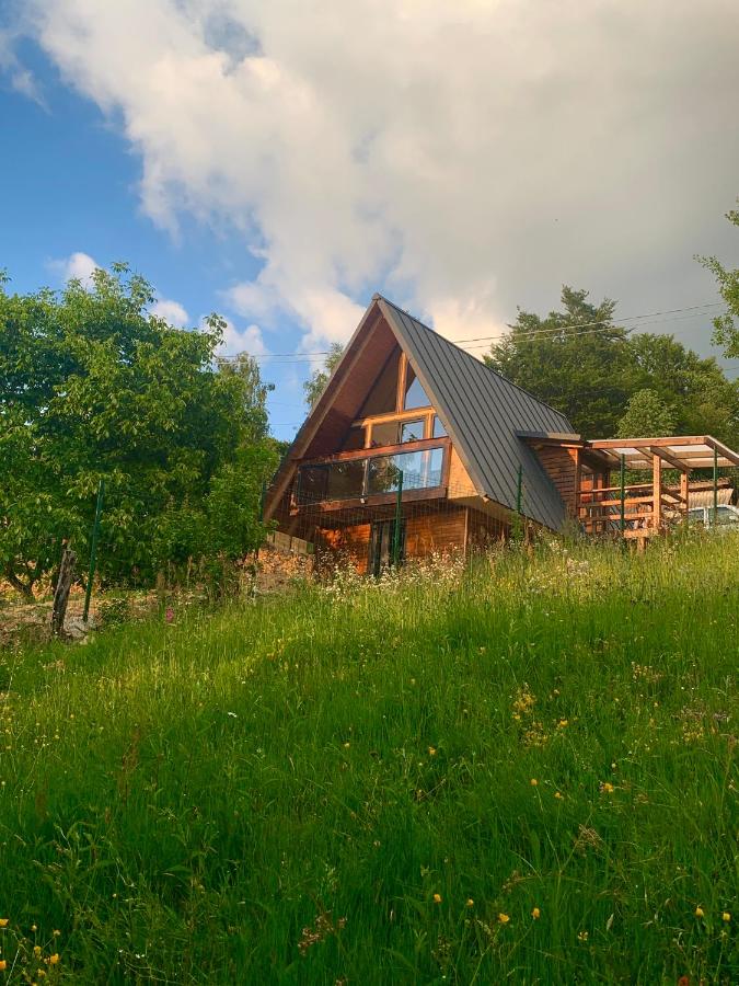 Triangle House Parang - Ferienwohnung Petroşani