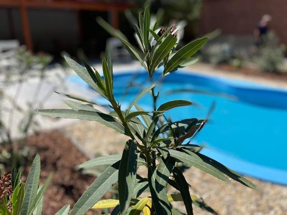 Kovács Apartman Kunfehértó - B&B