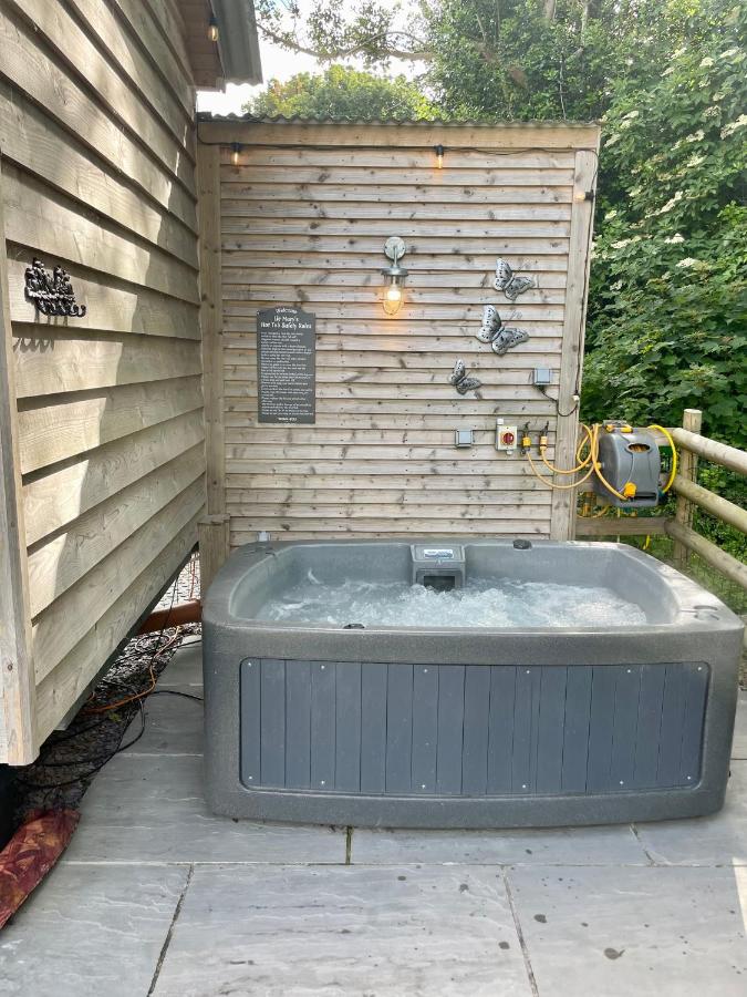 Lle Mary - Beautiful views, Hot tub, Secluded, Dog Welcome, Barmouth - Chambres d'hôtes Llanddwywe