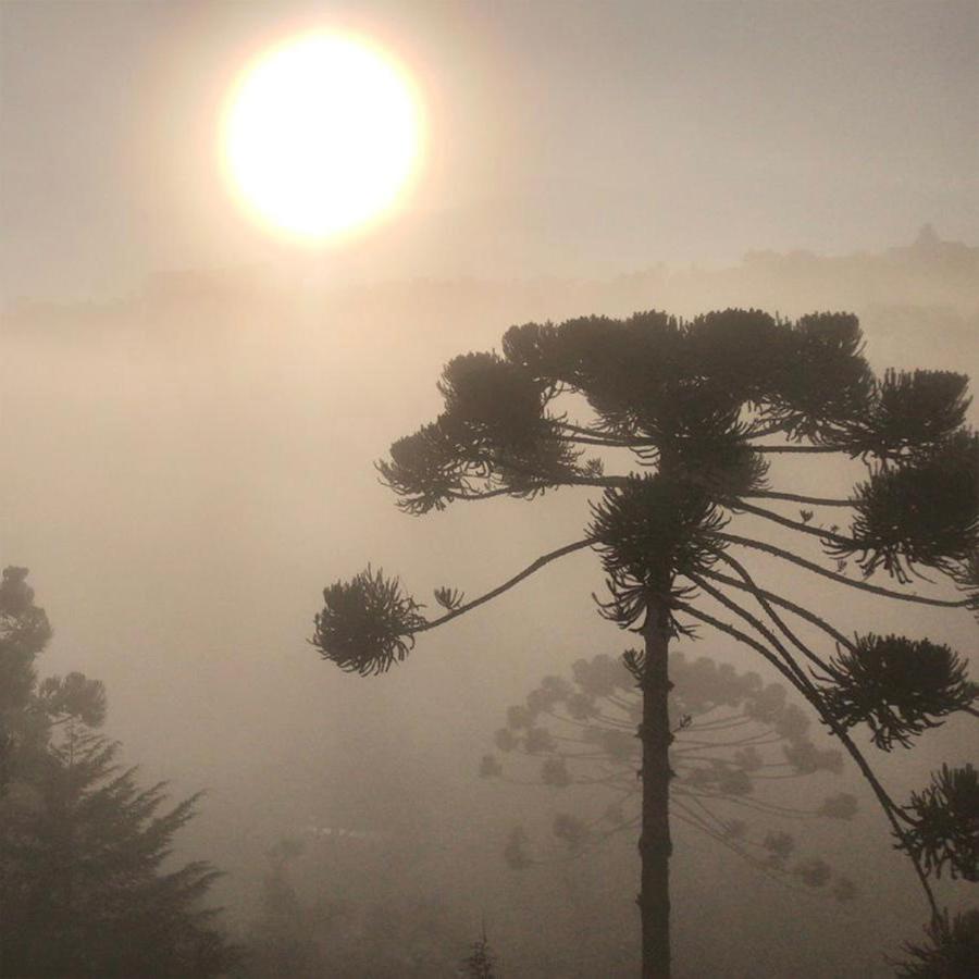 Suite con Vista Montagna