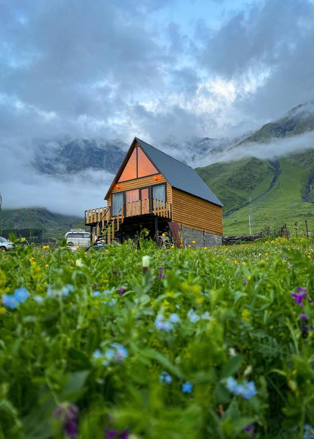 mood villa Kazbegi - Ferienwohnung