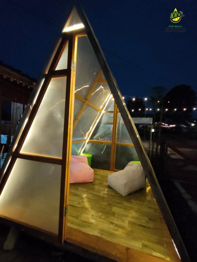 B&B Beran Kidul - Glamping Alas Duren Yogyakarta - Bed and Breakfast Beran Kidul