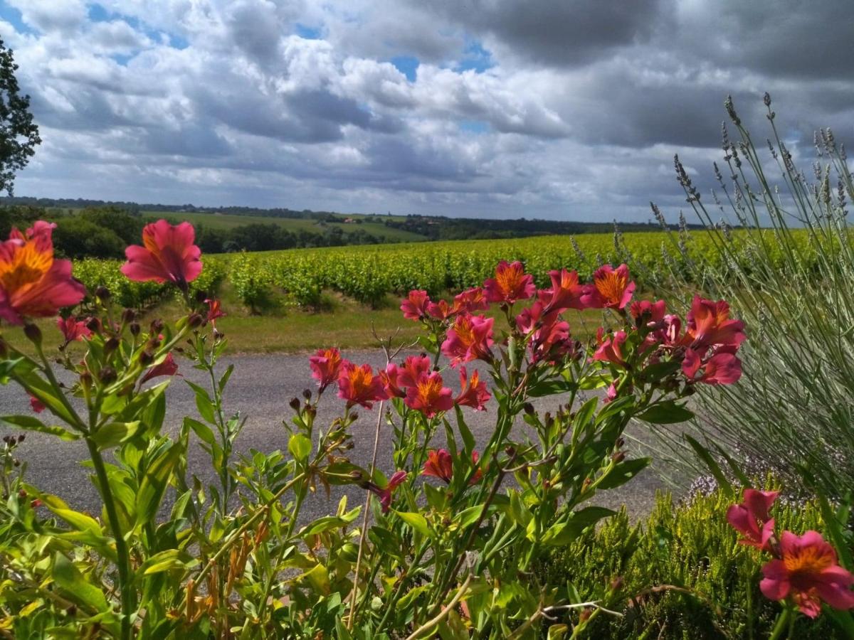 Les Chemins d'Ambre et Thaïs - Bed and Breakfast La Regrippière