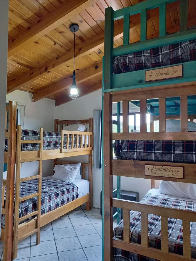 Bett im Frauenschlafsaal mit 4 Betten