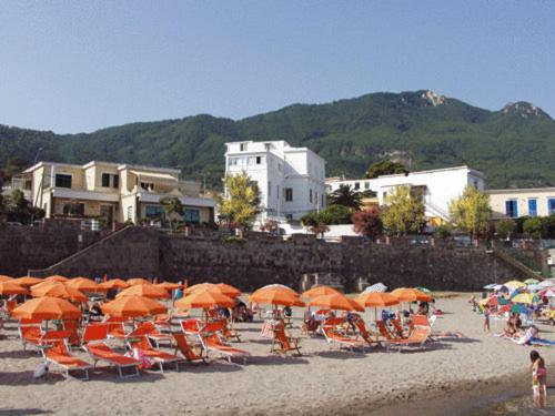 Monolocale (4 Adulti) 