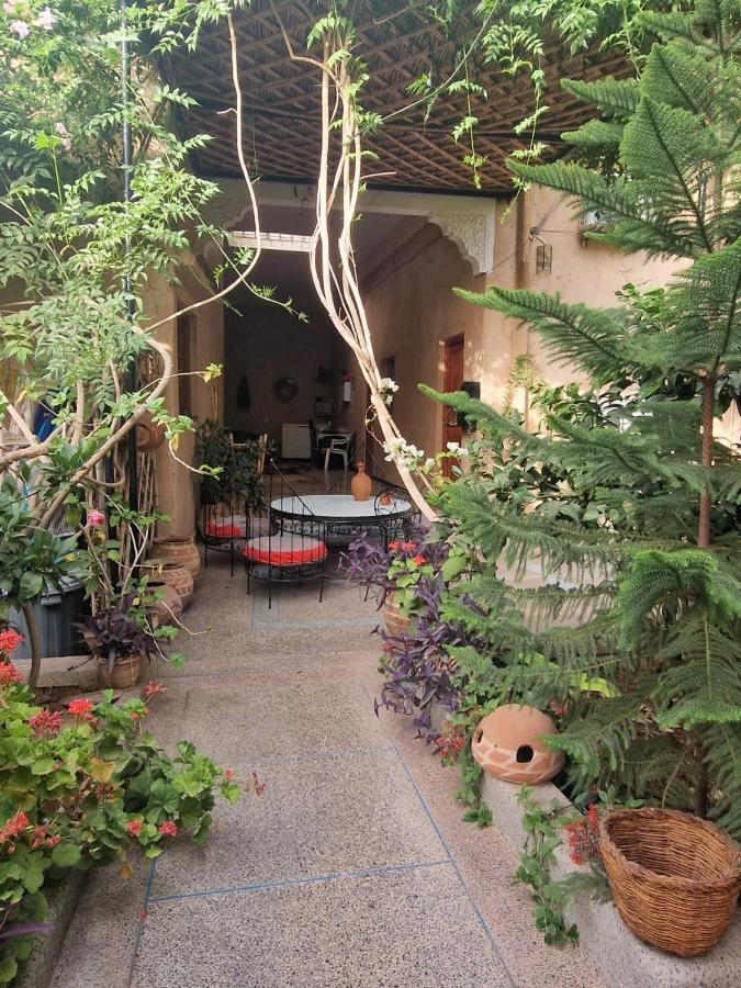 Triple Room with palm grove View