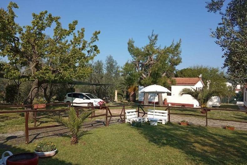 Domus Vestae - B&B Vieste