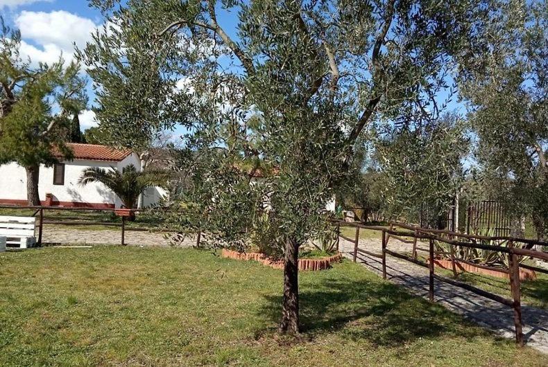 Domus Vestae - B&B Vieste