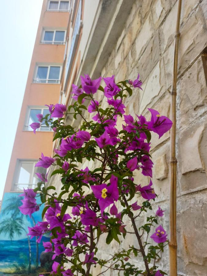 Apartments Mitende - Chambres d’hôtes