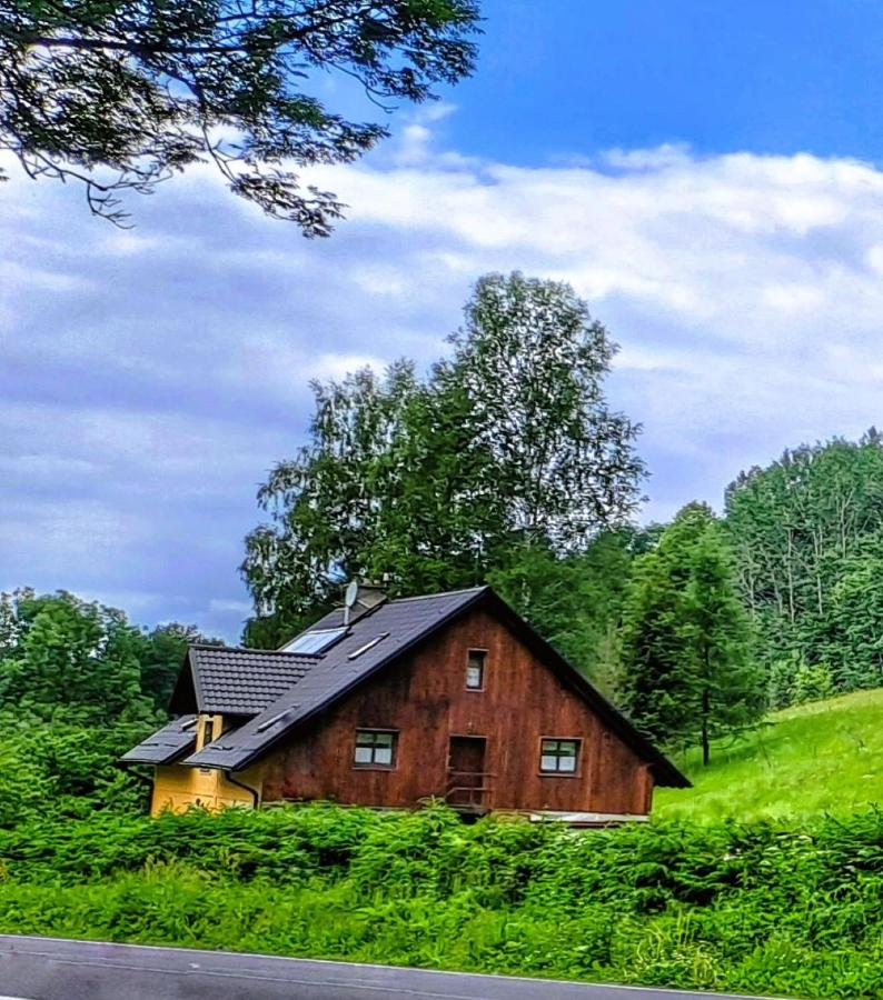 Apartmán u Ještěrky se saunou v ceně, Rejvízská 29, Jeseník - B&B