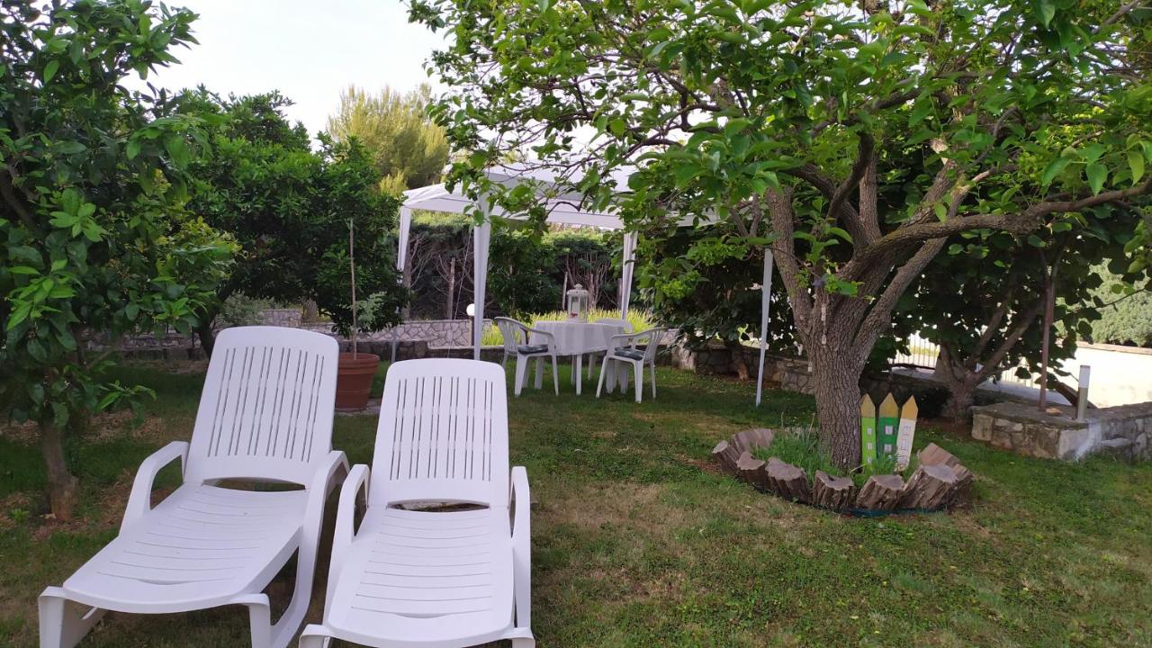 One Bedroom Apartment with Terrace