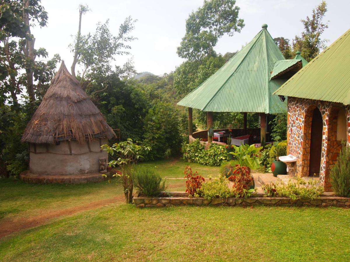 B&B Arusha - Songota Falls Lodge - Bed and Breakfast Arusha