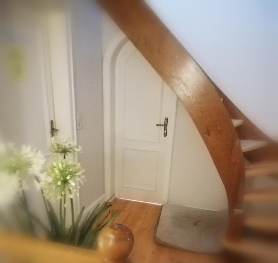 Single Room with Garden View