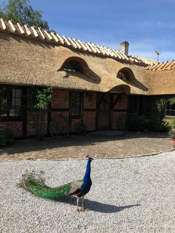 Cottage on unique farm - Ferienwohnung