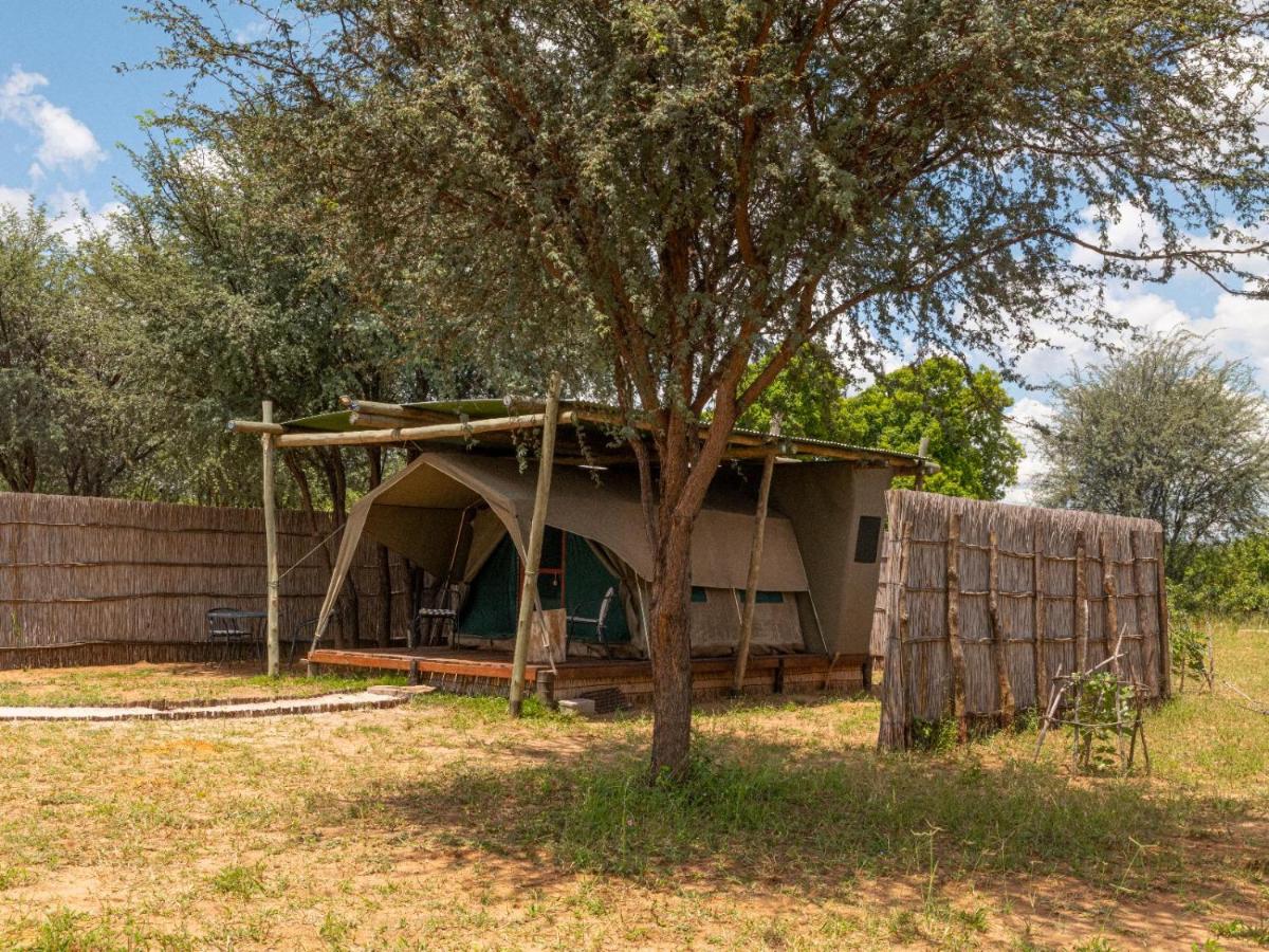Tenda standard