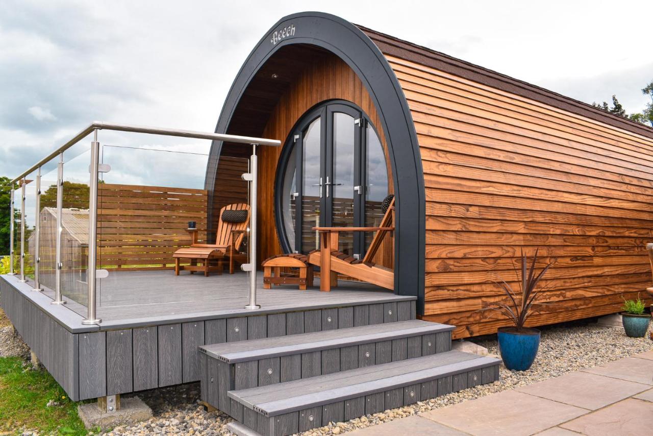 B&B Lanchester - Derecroft Glamping Luxury Lodgepods - Bed and Breakfast Lanchester