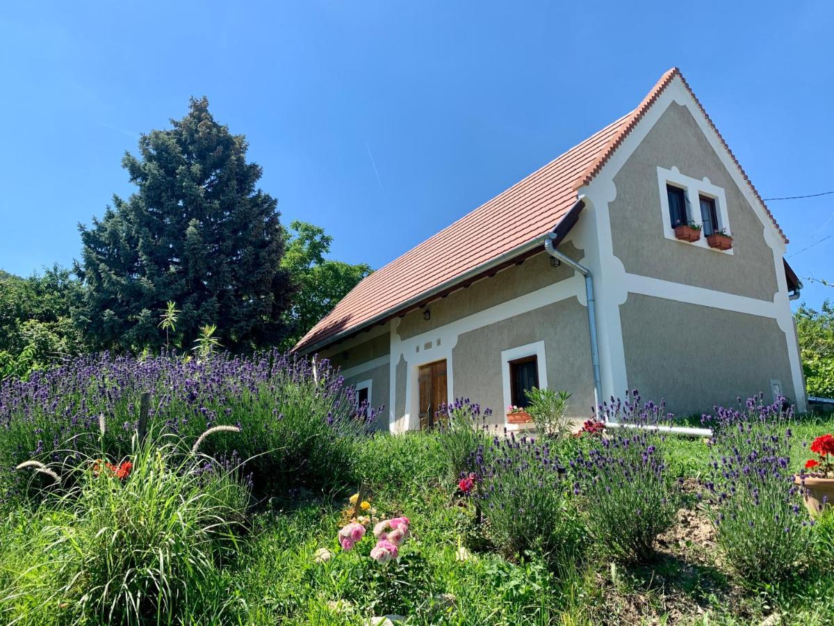Balaton home with a majestic view - B&B