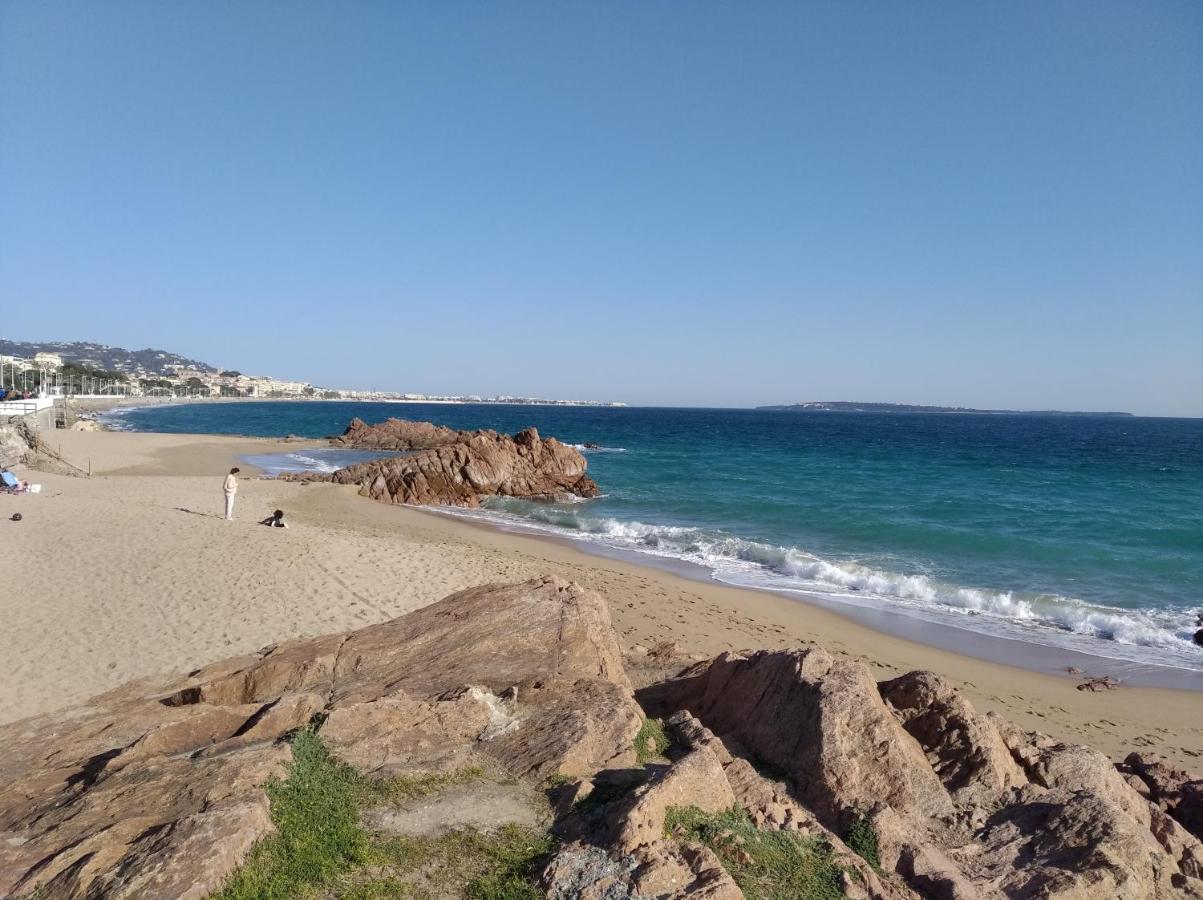 Sainte Rosalie - B&B Cannes