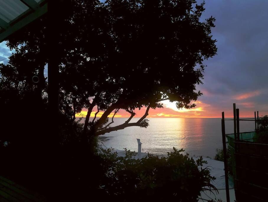 Quirky Eco-Friendly Artist Studio (Sea Views) - Chambres d’hôtes Le Cap