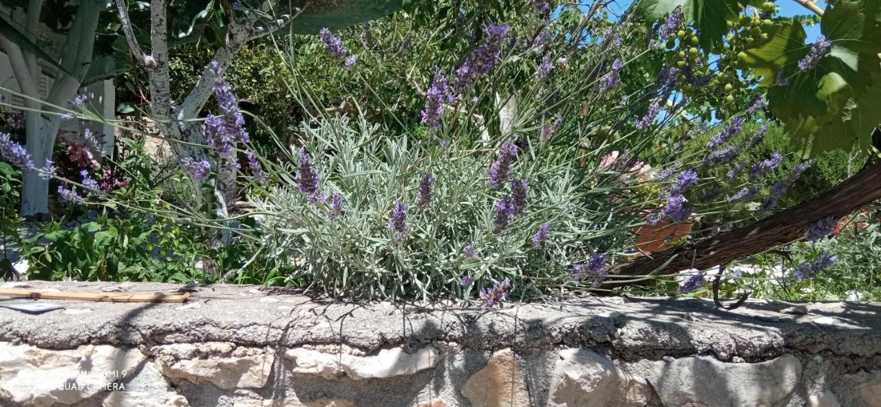 Apartmani Nede, Poljica - B&B Marina