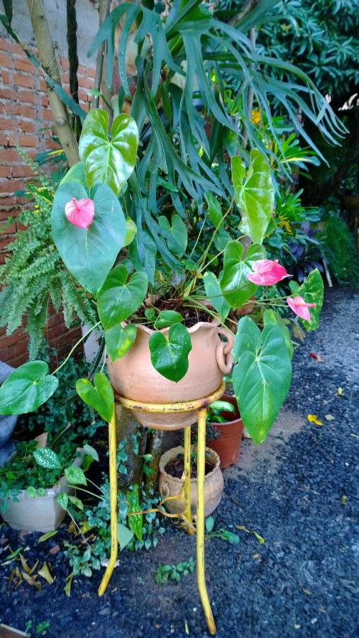 Posada Portal del Iguazu - B&B Puerto Iguazú