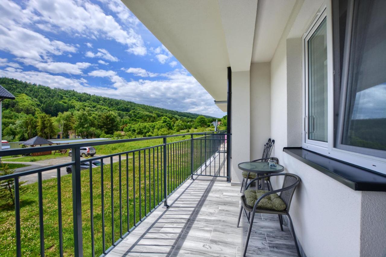 Apartament Dark - Chambres d’hôtes Ustrzyki Dolne