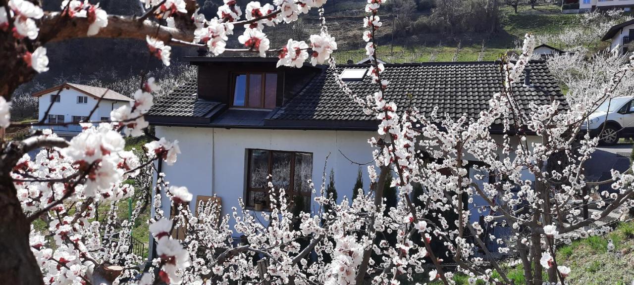 Grand chalet 6-8 personnes, ski et randonnées - B&B