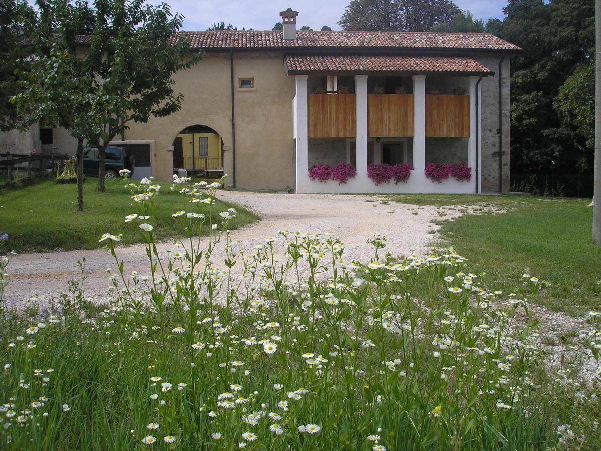 Agriturismo la Scala - Ferienwohnung