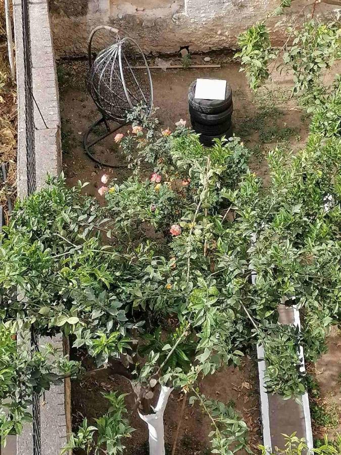 Katerina 's Penthouse - Chambres d’hôtes Kalamata