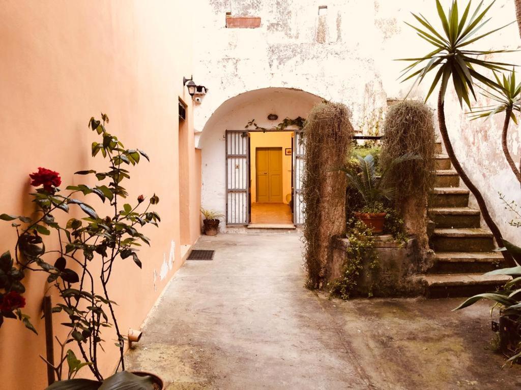 La Casetta Bianca, tipical Salento historic house - B&B Acquarica del Capo