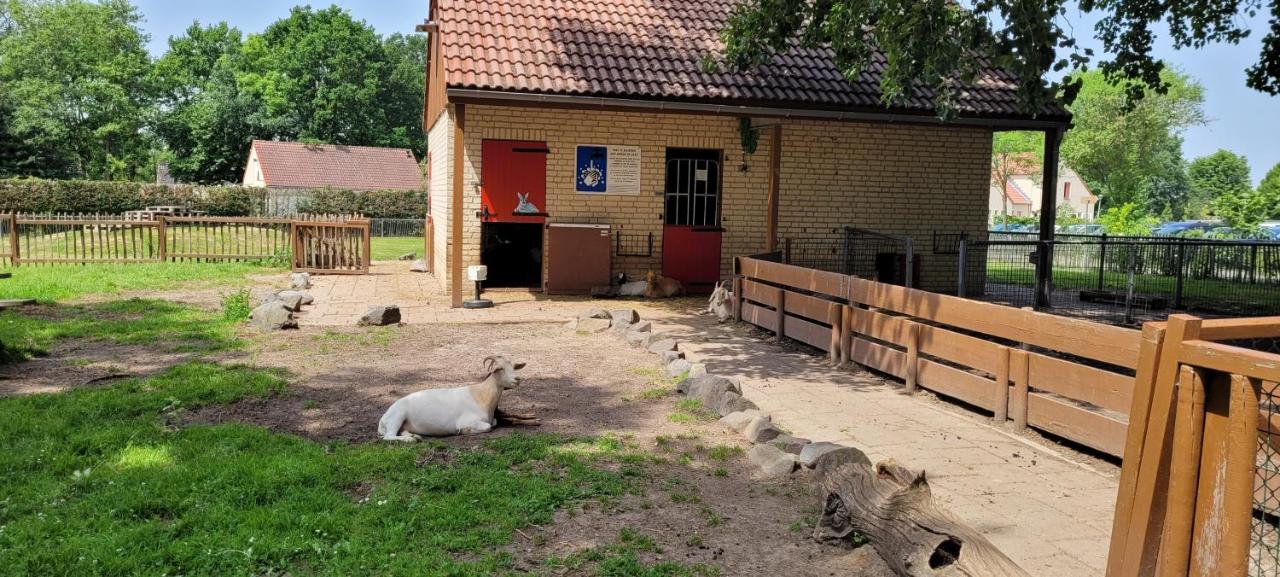 Huis met 2 Slaapkamers