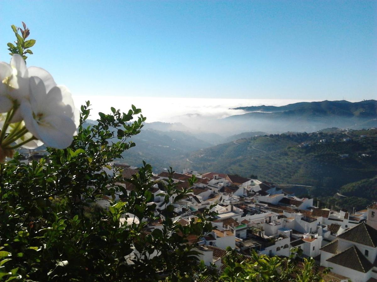 Casa Ana, Fantásticas vistas a Frigiliana, el mar y la montaña - Chambres d'hôtes Frigiliana