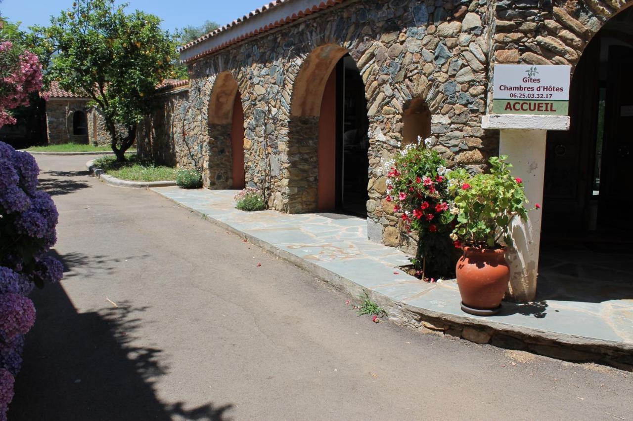Domaine Le Clos des Oliviers - B&B