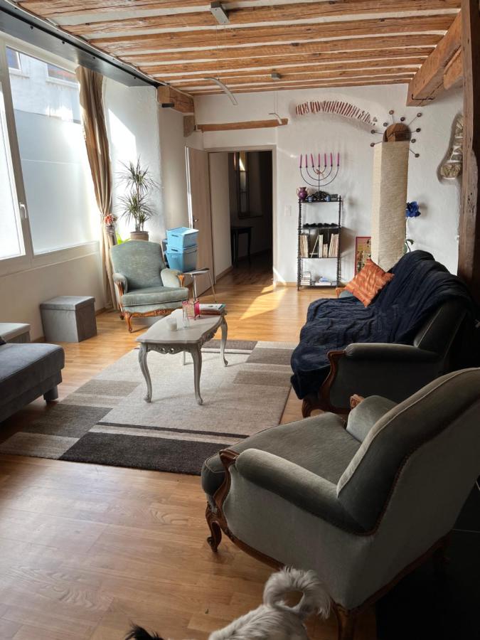 Appartement SEPHORA accès terrasse commune - B&B La Neuveville