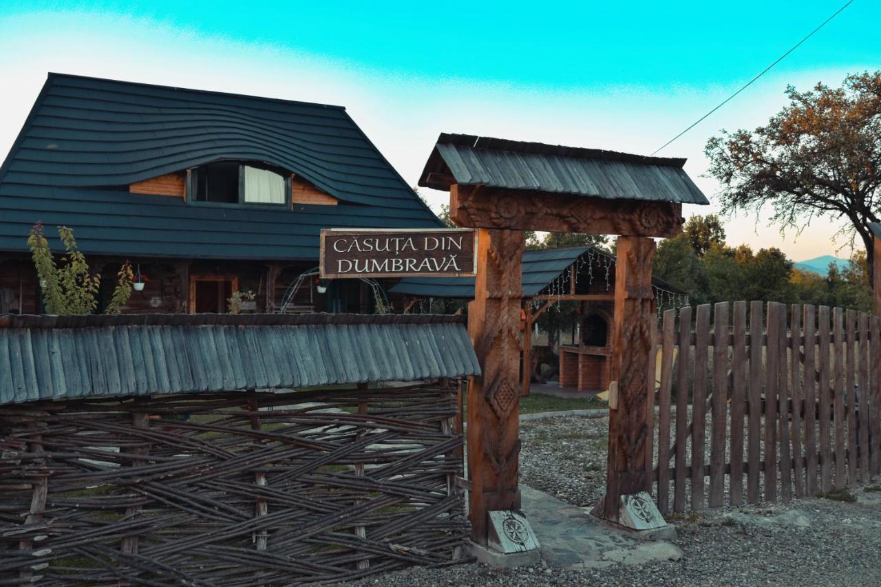 Casuta din dumbrava - B&B Ocna Şugatag