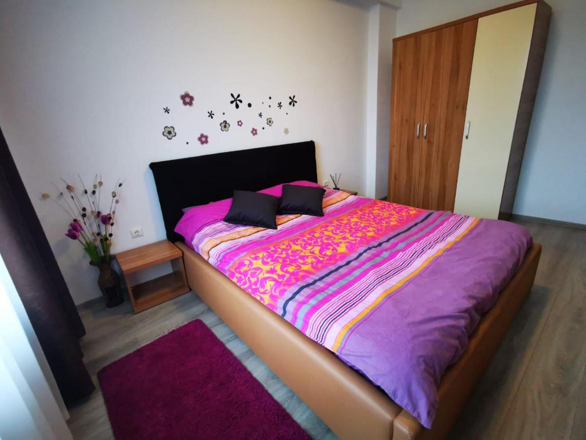 Appartement 1 Chambre