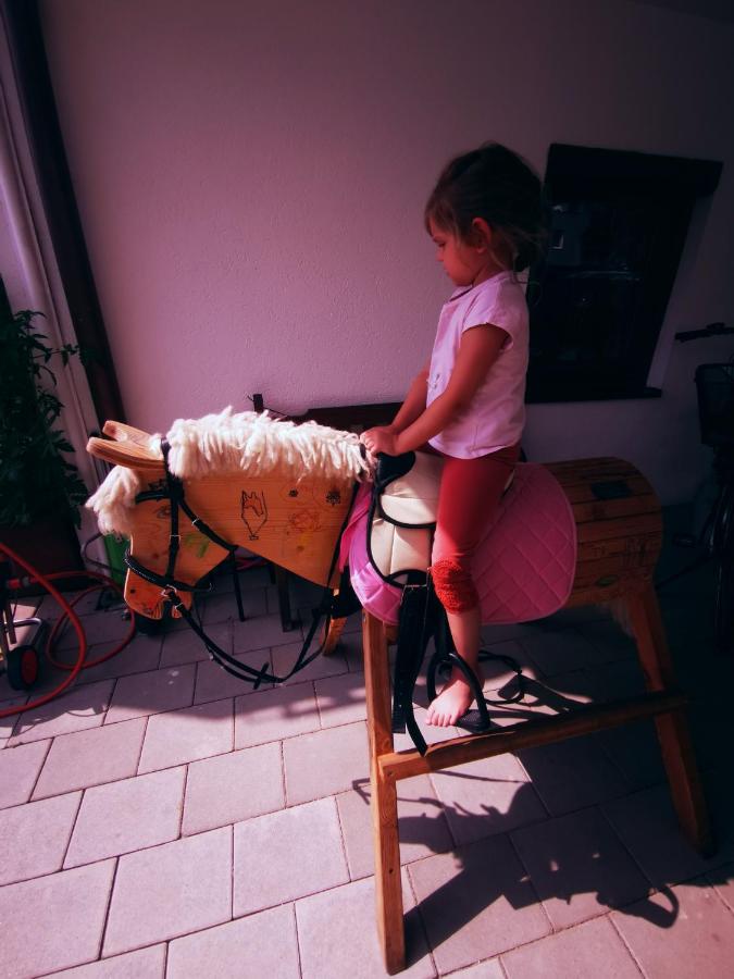 Ferienwohnung Kaiserblick Kössen - B&B Kössen