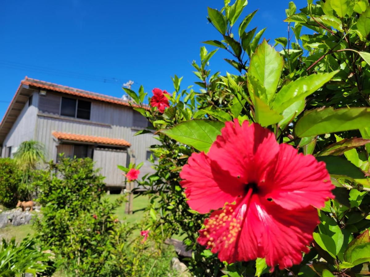 Pension Snadun - B&B Ginoza