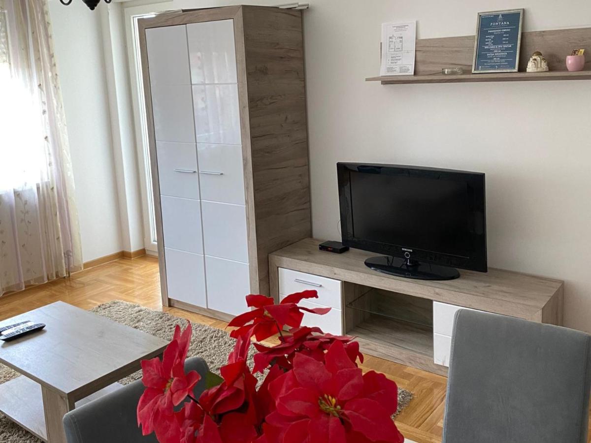 Apartmani CENTAR Vrnjacka Banja & Free Parking - B&B Vrnjačka Banja