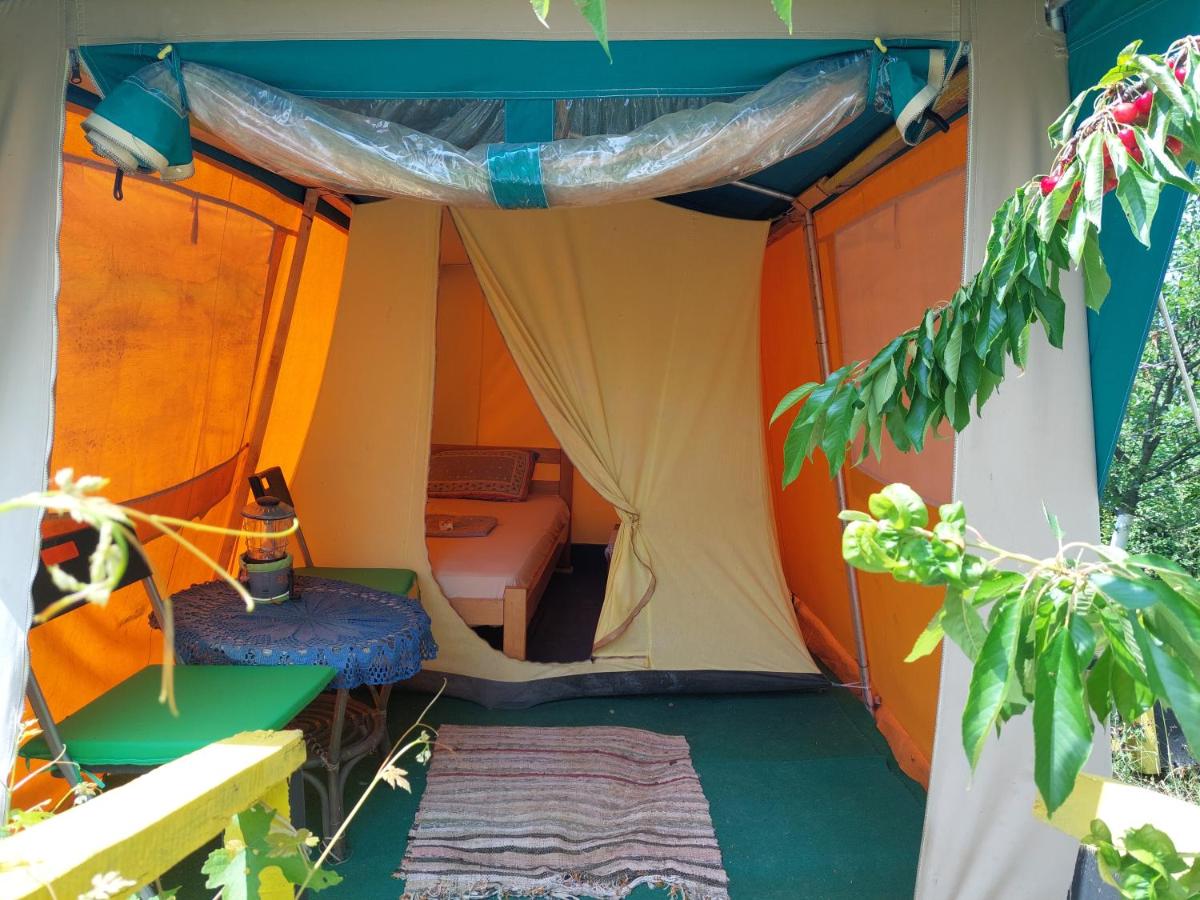 Tent