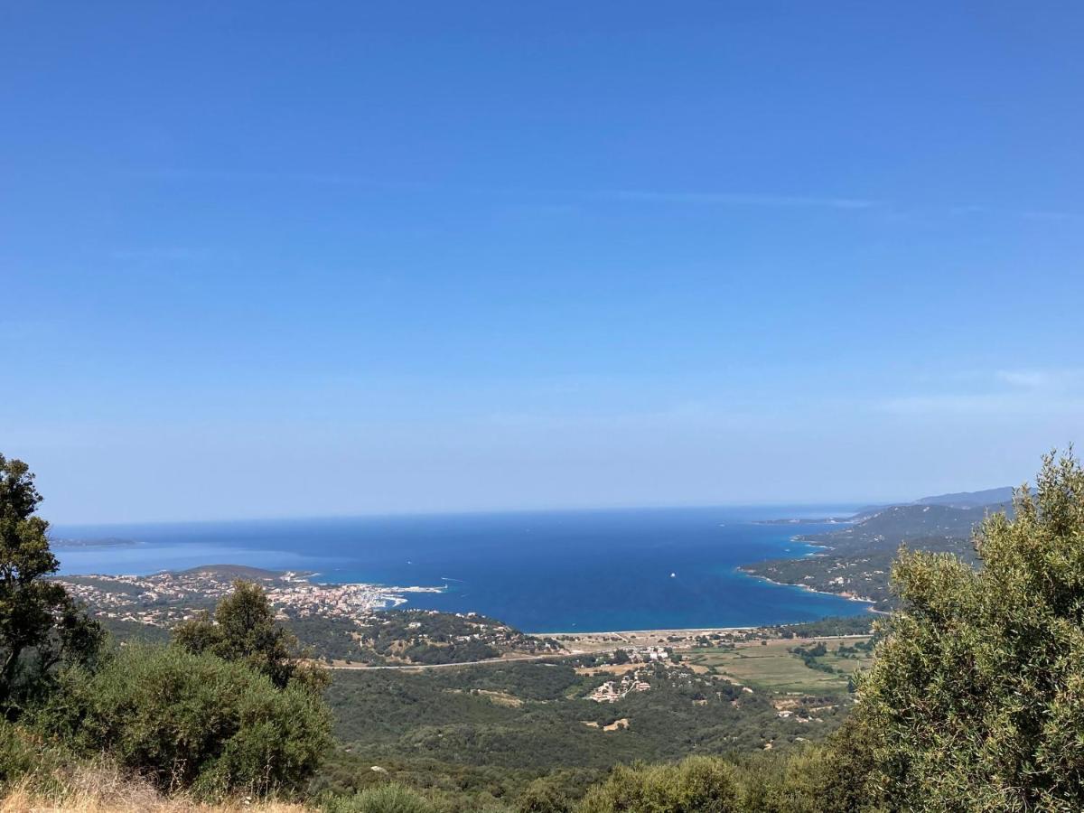 Junior Suite with Sea View