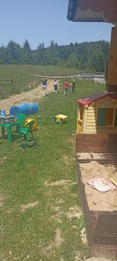 Gościniec Dziubasowki - B&B
