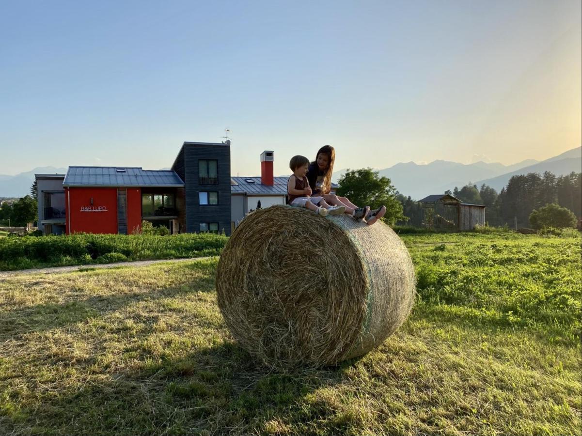 B&B Lupo - Bed and Breakfast