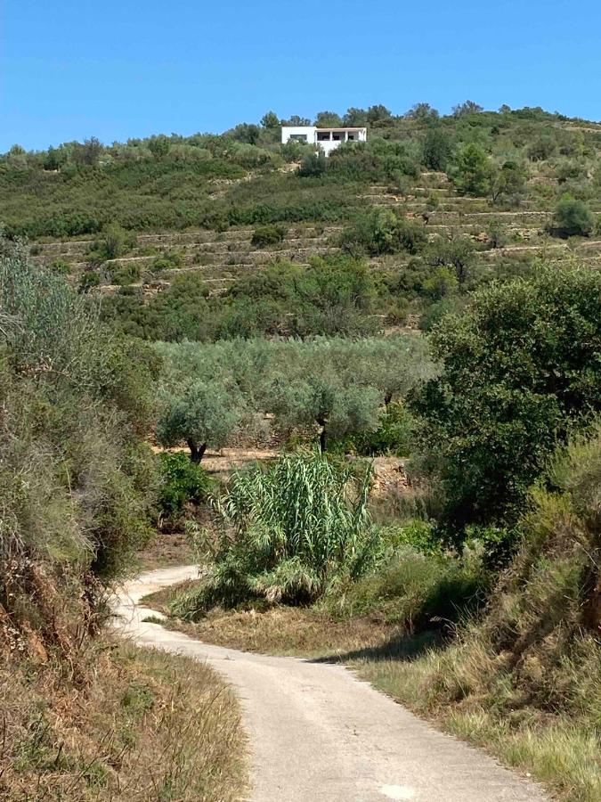 Casa de Olivos - Unique Apartments - Adult Only - Chambres d’hôtes Traiguera